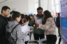 青岛学子求职图鉴 795万毕业生浪潮下的青春奋斗